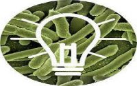 微生物燃料电池